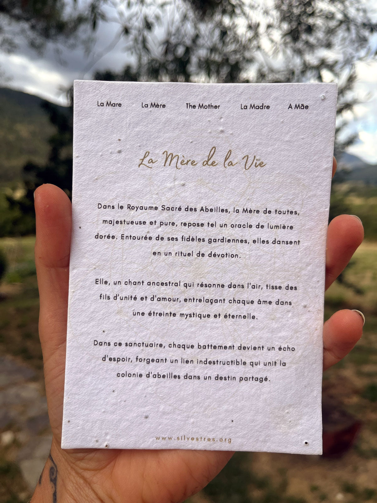 Carte Mère Abeille Plantable