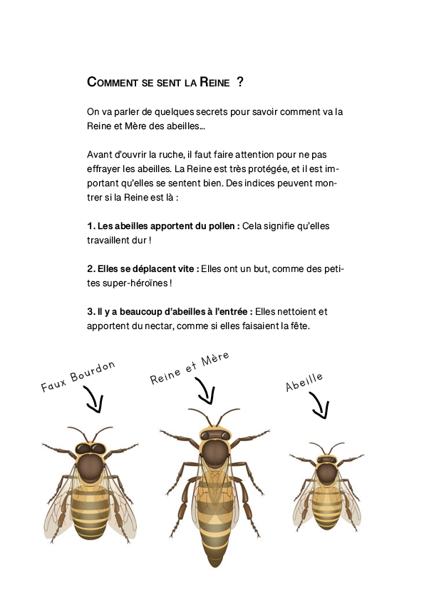 Gardiens Des Abeilles - Cahier d’Activités (E-book)