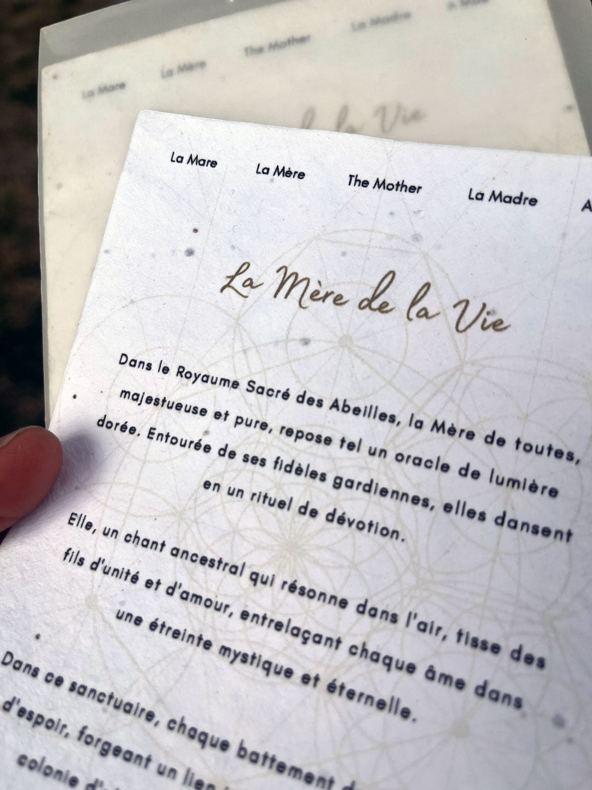 Carte Mère Abeille Plantable