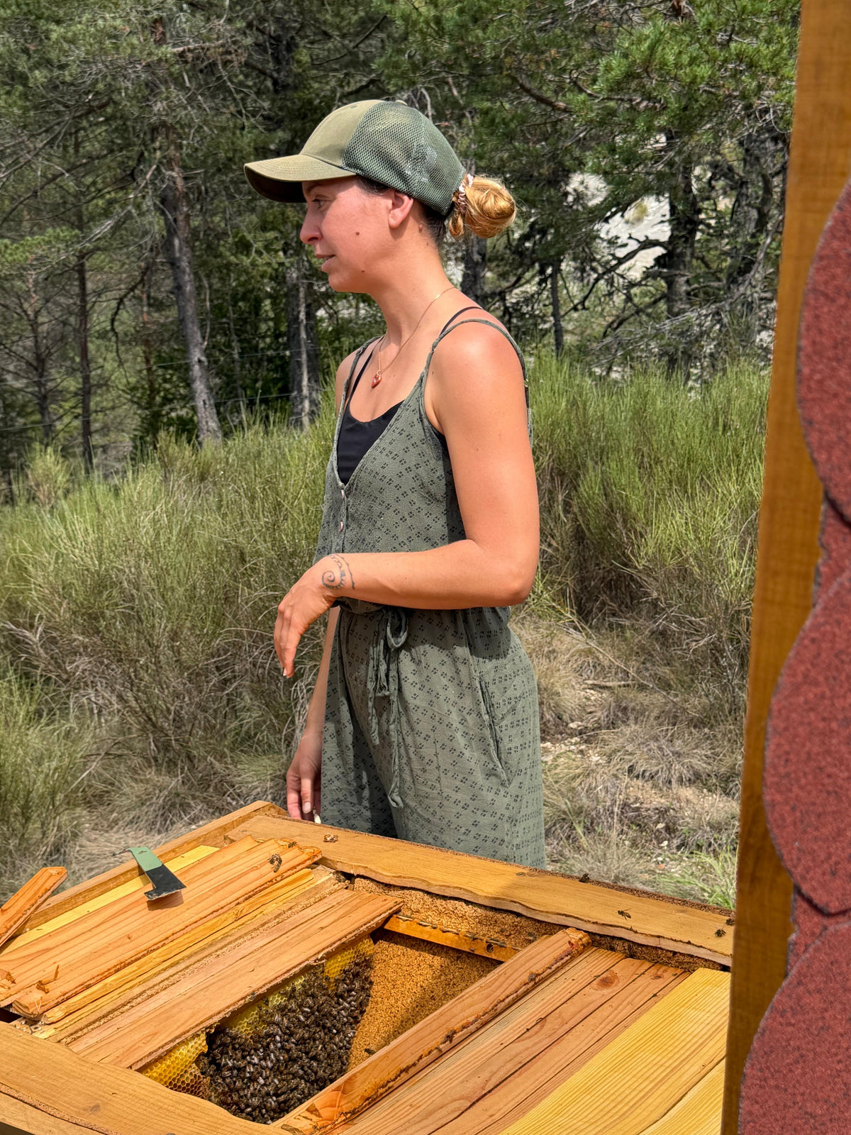 Soin Conscient des Abeilles · Apiculture