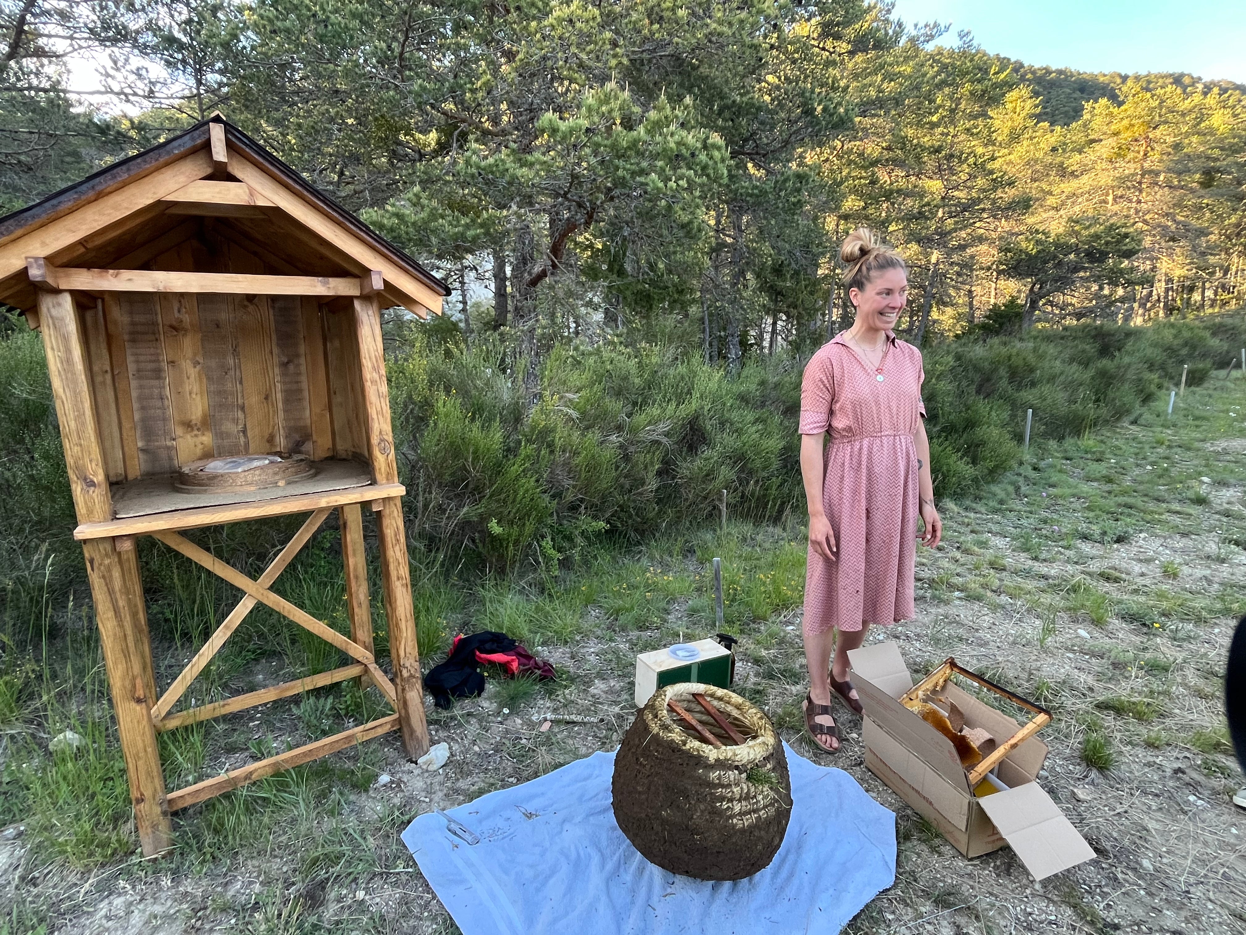 Soin Conscient des Abeilles · Apiculture