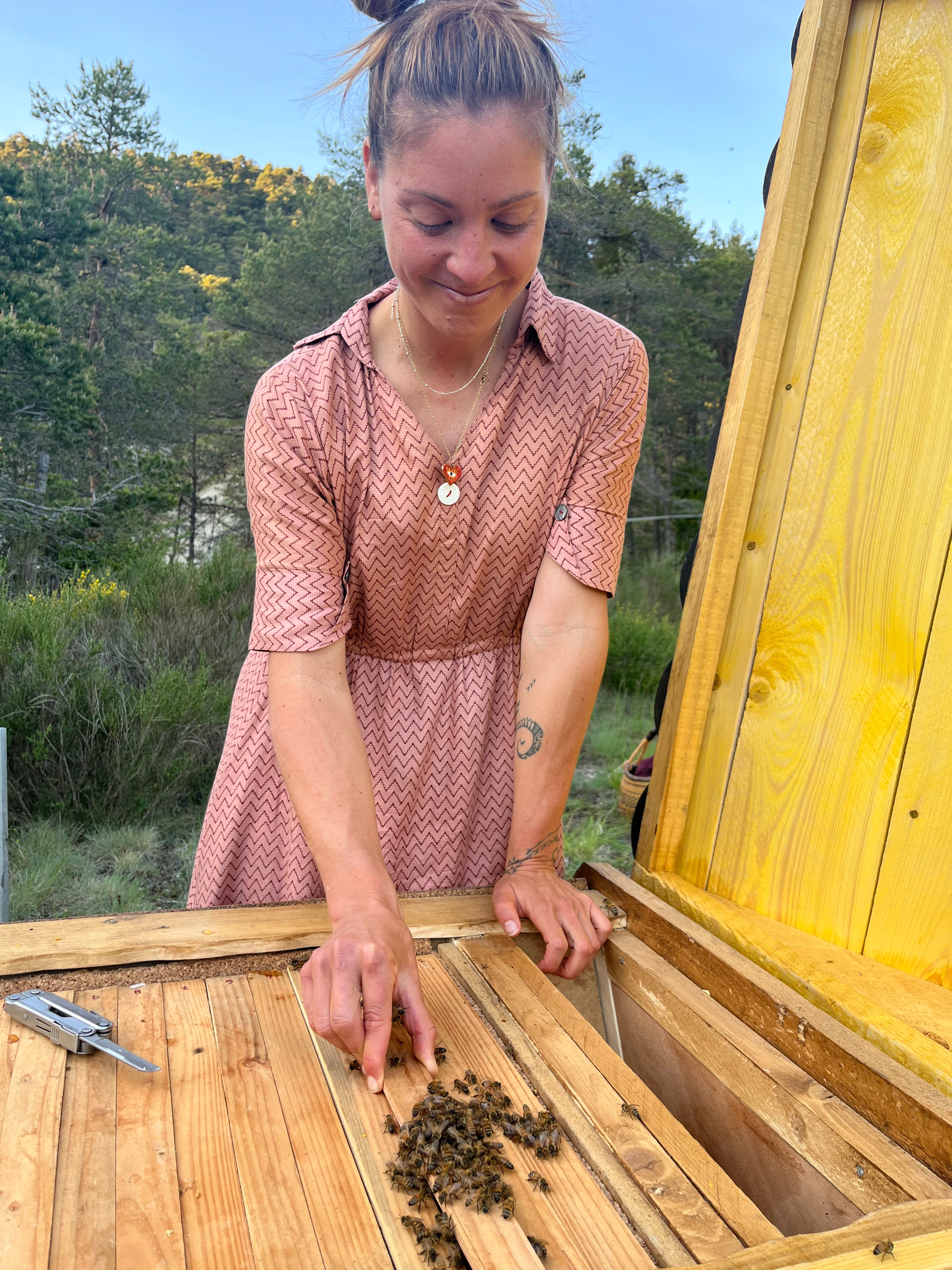 Soin Conscient des Abeilles · Apiculture
