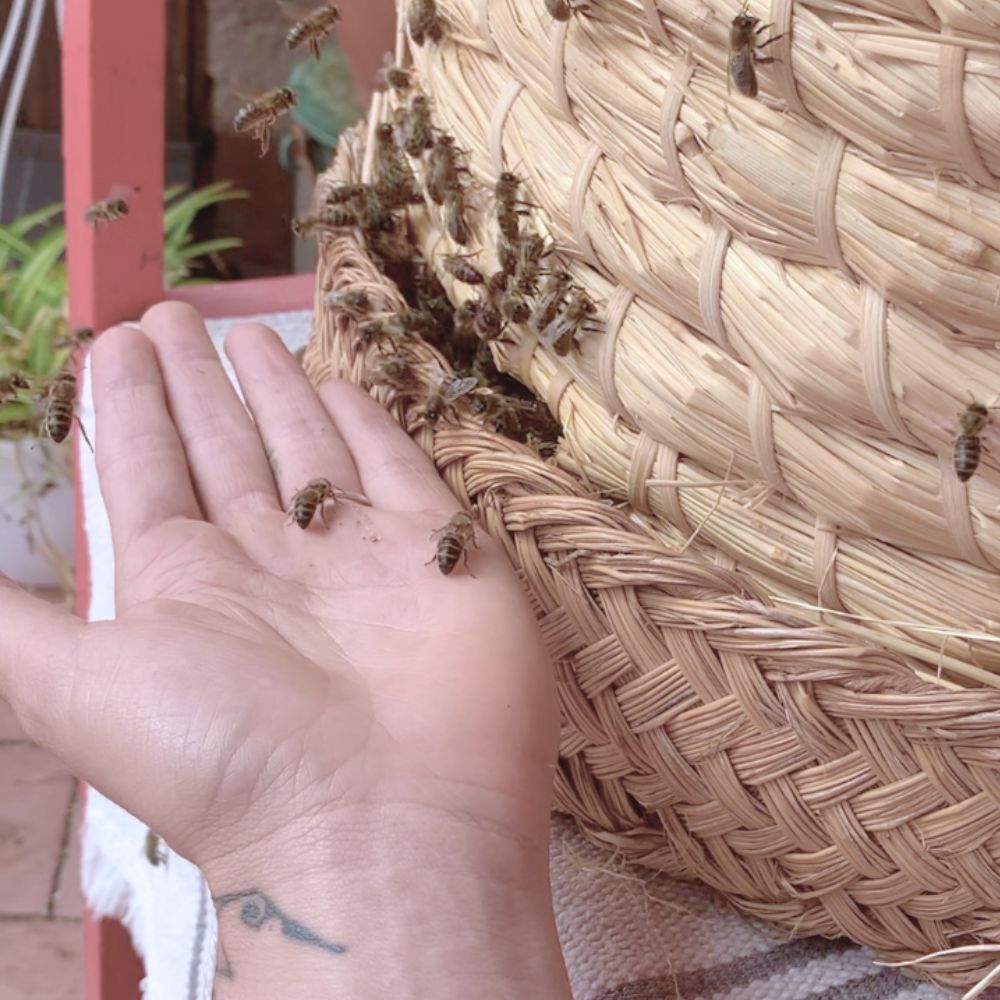 Apitherapy Session